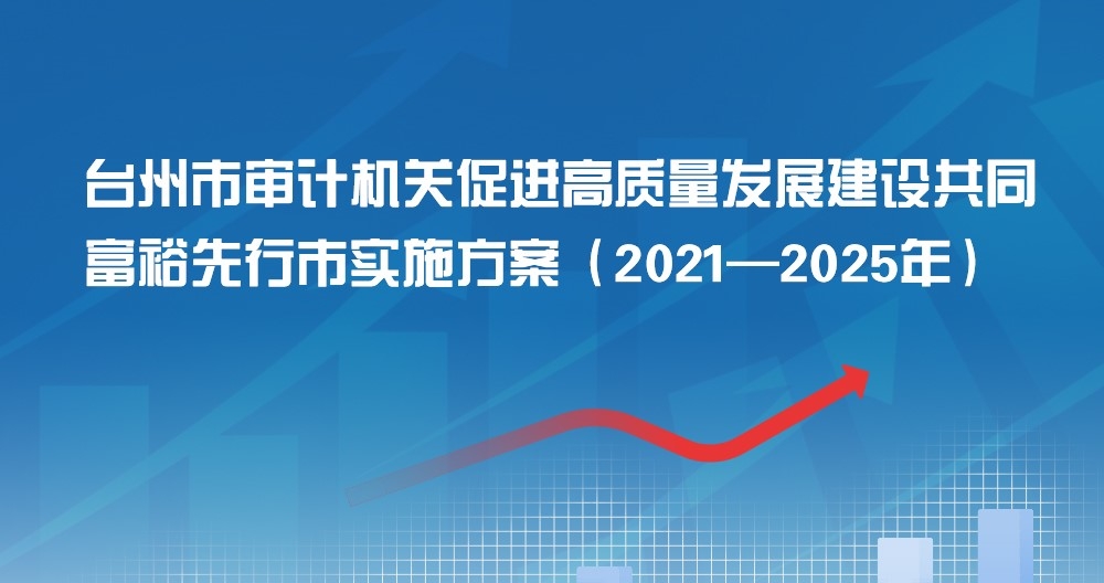 365bet官方网址_365提现多久能到账_beat365官方入口素描网审计机关促进高质量发展建设共同富裕 先行市实施方案（2021—2025年）